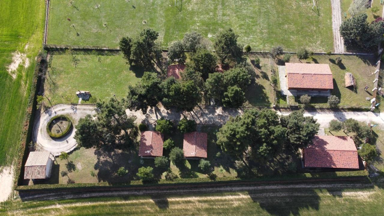 Las Casitas Del Pinar Bayubas de Abajo Exteriér fotografie