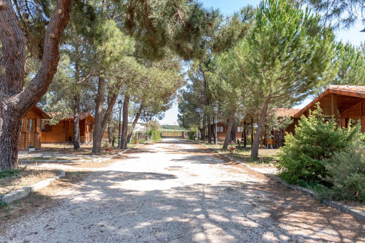 Las Casitas Del Pinar Bayubas de Abajo Exteriér fotografie
